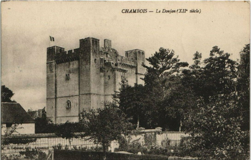 Carte postale ancienne Chambois - Le Donjon