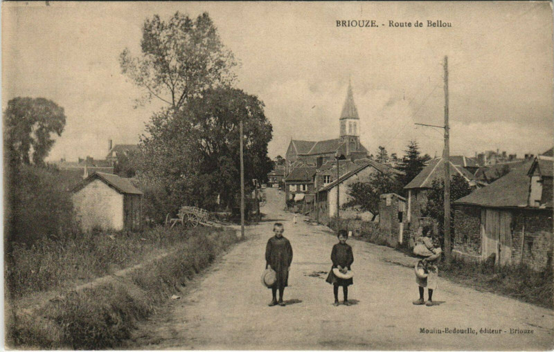 Carte postale ancienne Briouze Route de Bellou à Briouze
