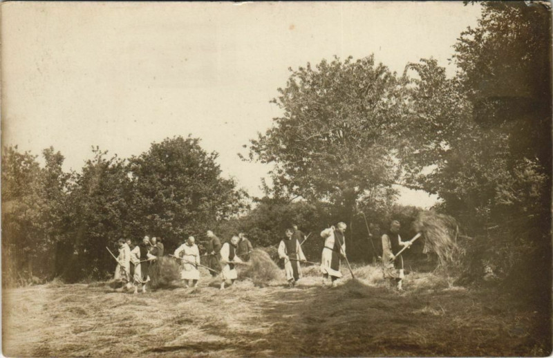Carte postale ancienne La Grande-Trappe travaux agricultures, carte photo à Ri