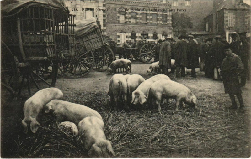 Carte postale ancienne Flers - La Place de la Halle - Le Marché aux Porcs à Flers