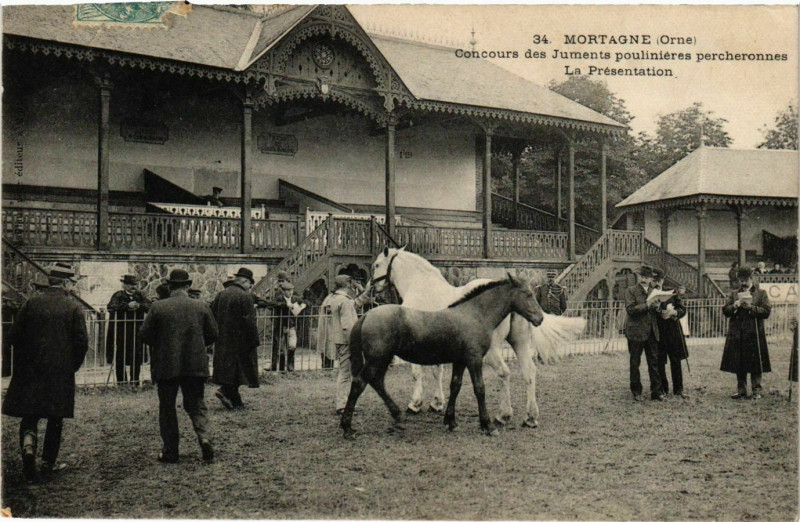 Carte postale ancienne Mortagne Concours des Juments poulinieres