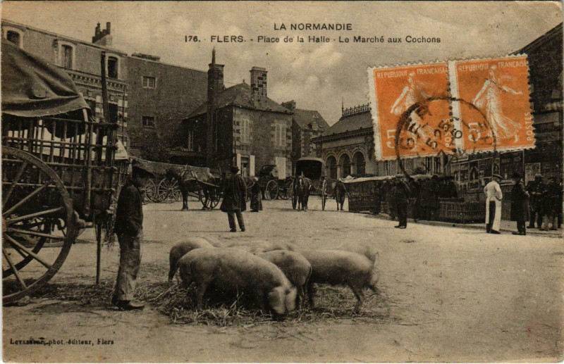 Carte postale ancienne Flers Orne - Place de la Halle Le marche aux Cochons à Flers