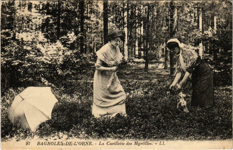 Carte postale ancienne Bagnoles de L'Orne - La Cueillette des Myrtiles