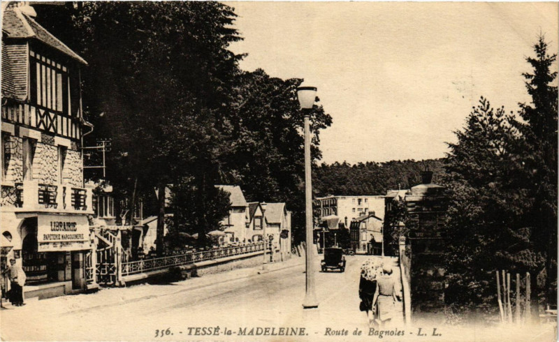 Carte postale ancienne Tessé-la-Madeleine - Route de Bagnoles