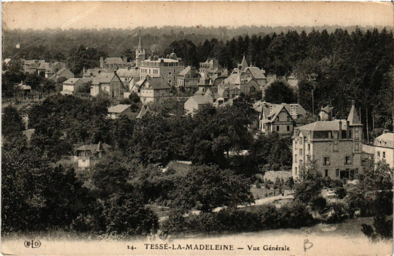 Carte postale ancienne Tessé-la-Madeleine - Vue Générale