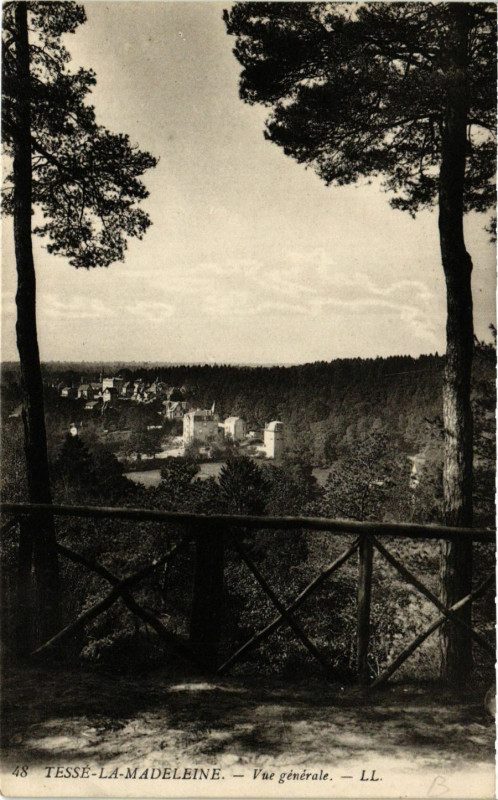 Carte postale ancienne Tessé-la-Madeleine - Vue générale