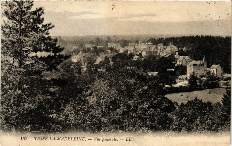 Carte postale ancienne Tessé la Madeleine - Vue générale