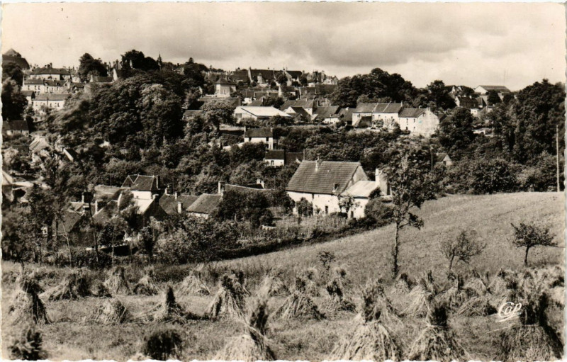 Carte postale ancienne Mortagne  - Vue générale