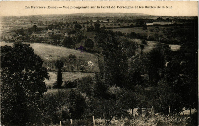 Carte postale ancienne La Perrire (Orne) - Vue plongeante sur la Forét de Perseigne ... à Ri