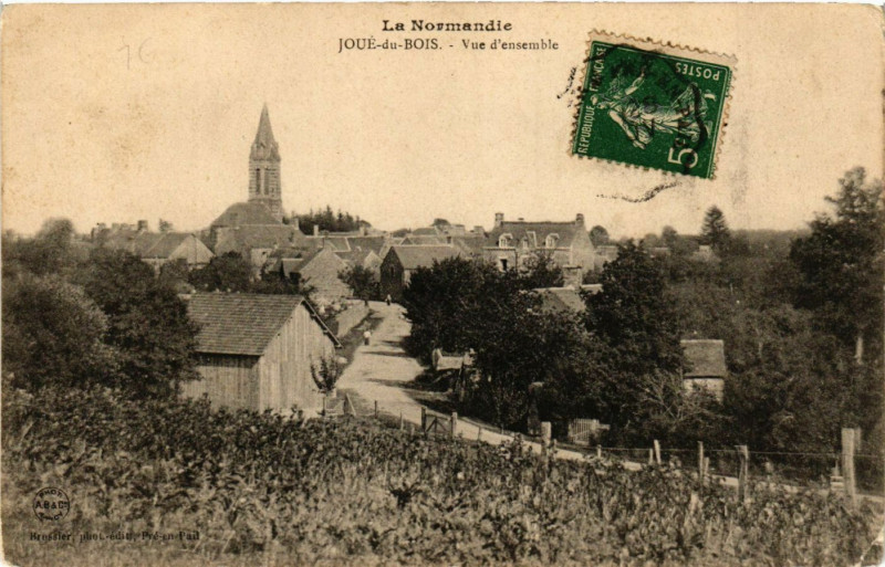 Carte postale ancienne Jué du Bois - Vue d'ensemble