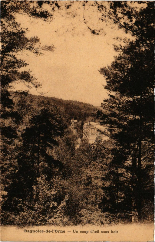Carte postale ancienne Bagnoles- de- l'Orne - Un coup d'ceil sous bois