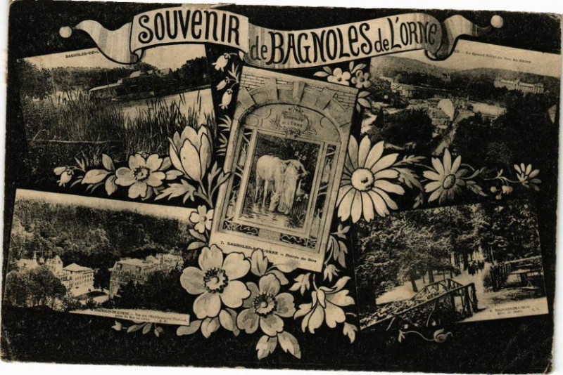 Carte postale ancienne Souvenir Bagnoles-de-l'Orne