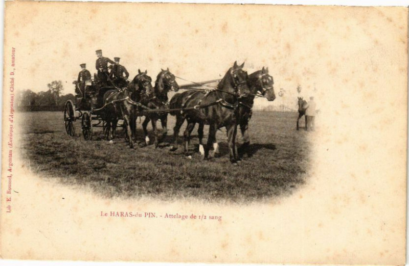 Carte postale ancienne Le Haras-du-Pin - Attelage de 1/2 sang