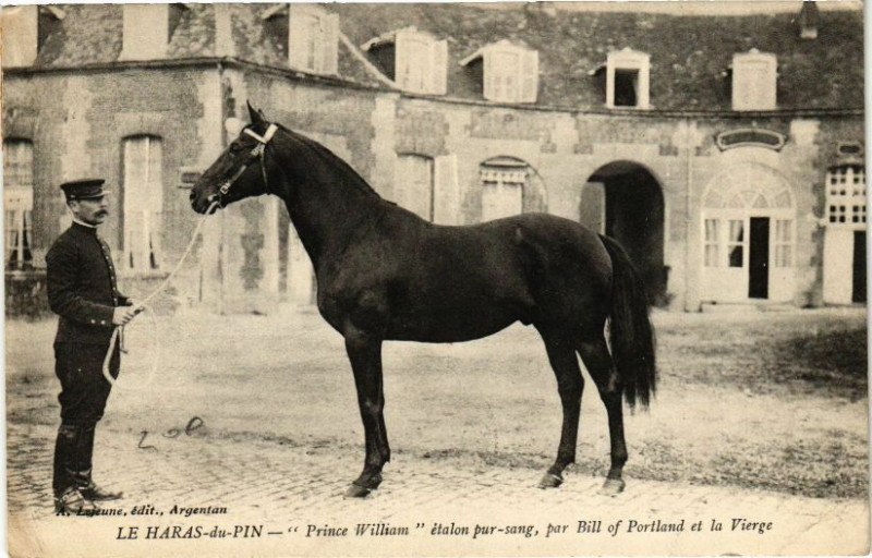 Carte postale ancienne Le Haras-du-Pin - Prince william à Ri