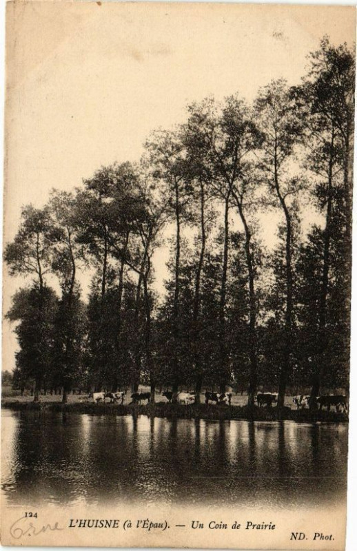 Carte postale ancienne L'huisne (a l'epau) - Un coin de prairie à Rai