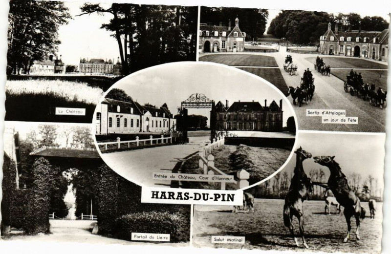 Carte postale ancienne Haras-du-Pin