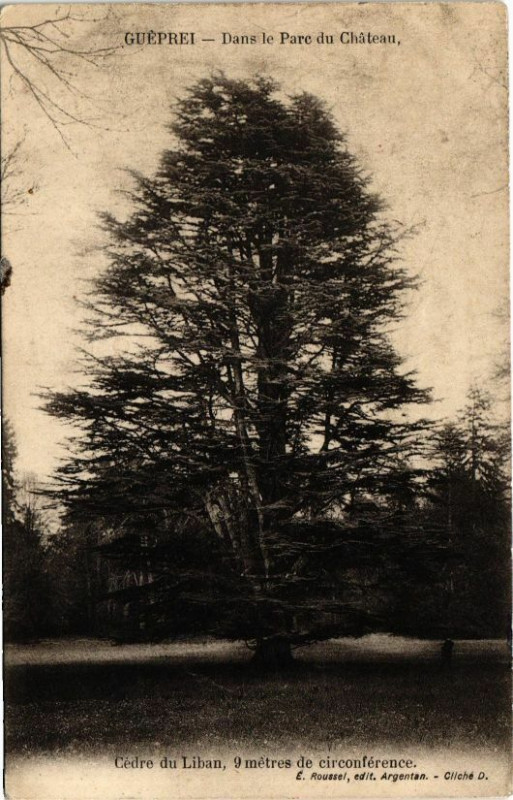 Carte postale ancienne Guéprei - Dans le Parc du Chateau à Guêprei