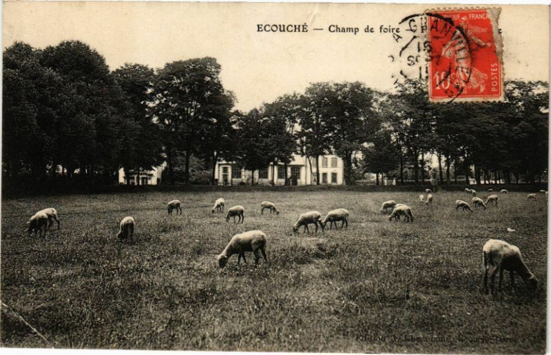 Carte postale ancienne Ecouche - Champ de foire