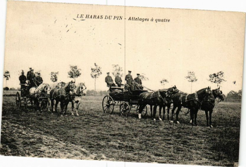 Carte postale ancienne Le Haras-du-Pin - Attelage a quatre