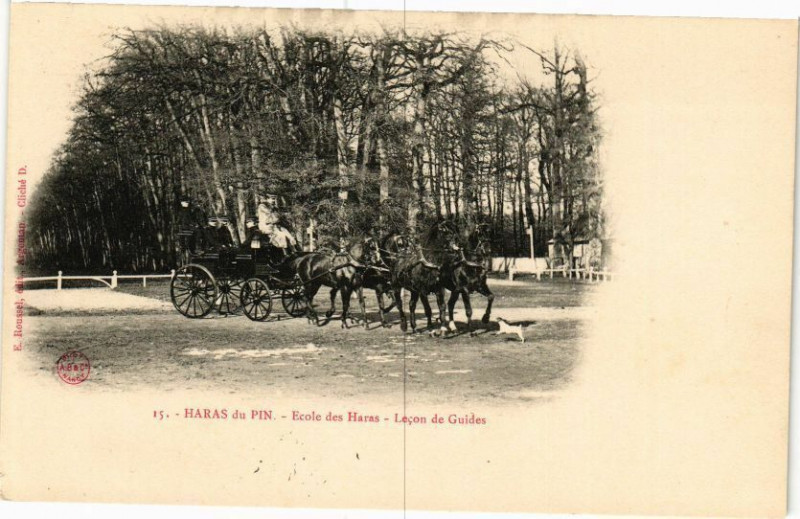 Carte postale ancienne Haras-du-Pin - Ecole des haras