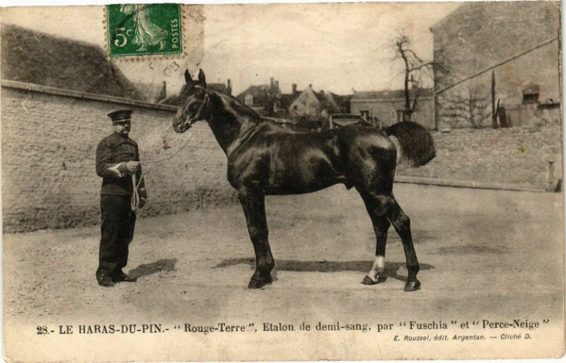 Carte postale ancienne Haras-du-Pin - Rouge terre