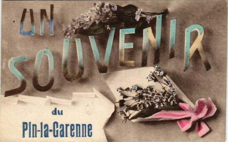 Carte postale ancienne Un souvenir du pin la garenne
