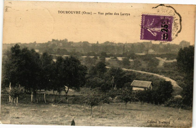 Carte postale ancienne Tourouvre - Vue prise des Larrys à Ri