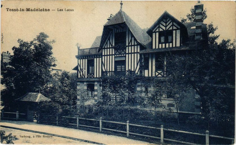 Carte postale ancienne Tesse-la-Madeleine - Les lotus