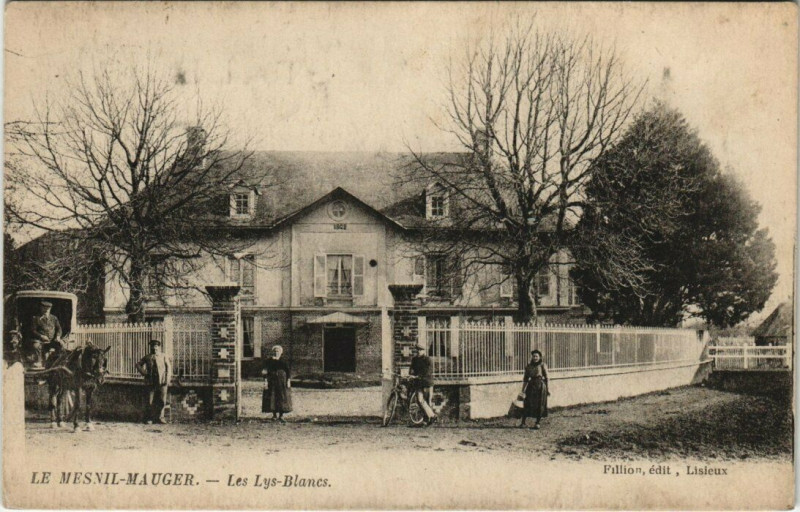 Carte postale ancienne Le Mesnil-Maugel - Les Lys-Blancs