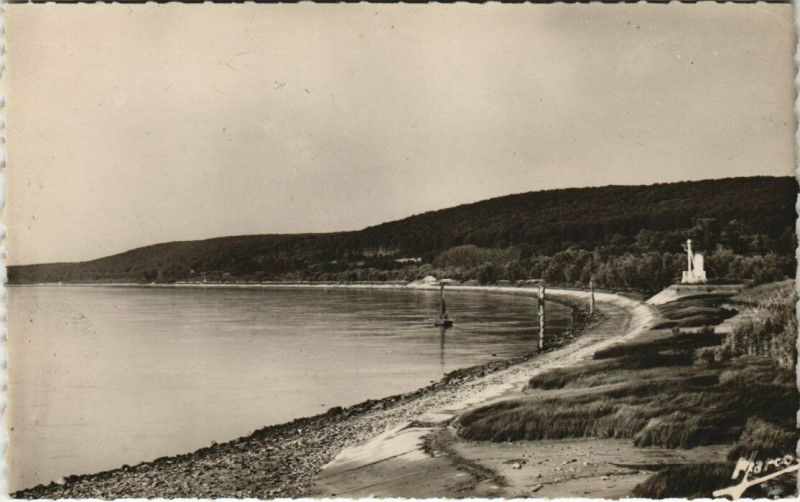 Carte postale ancienne Courbe de la Seine et la Foret de Brotonne