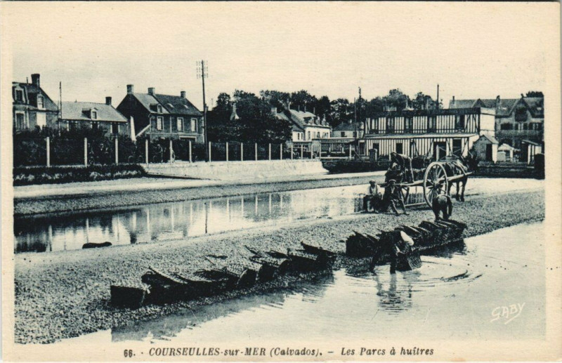 Carte postale ancienne Courseulles-sur-Mer - Les Parcs a huitres à Courseulles-sur-Mer