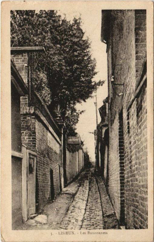 Carte postale ancienne Lisieux - Les Buissonnets à Lisieux