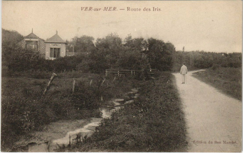 Carte postale ancienne Ver-sur-Mer - Route des Iris à Ver-sur-Mer