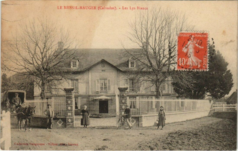 Carte postale ancienne Le Mesnil-Mauger - Les Lys Blancs