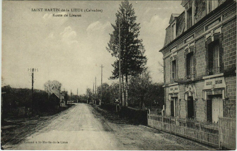 Carte postale ancienne Saint-Martin de la Lieue - Route de Livarot à Saint-Martin-de-la-Lieue