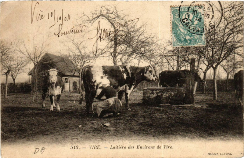 Carte postale ancienne Vire - Laitiére des Environs de Vire