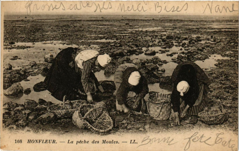 Carte postale ancienne Honfleur - La péche des Moules à Honfleur