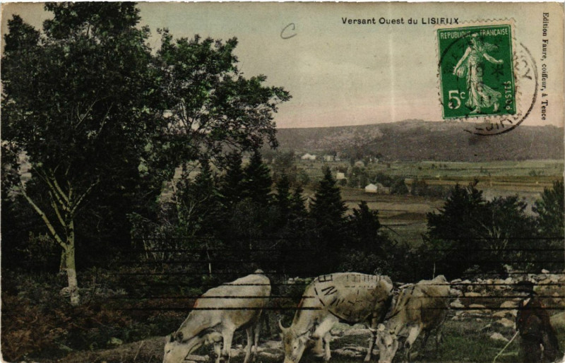 Carte postale ancienne Versant OueSaint-du Lisieux à Lisieux