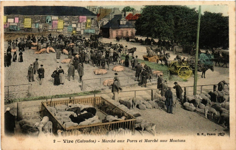 Carte postale ancienne Vire - Marche aux Pores