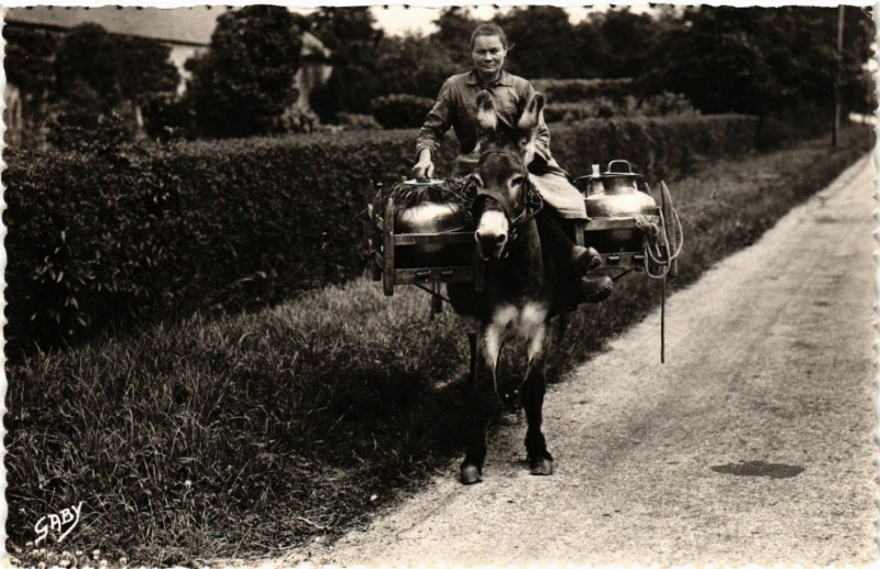 Carte postale ancienne Costumes Normands