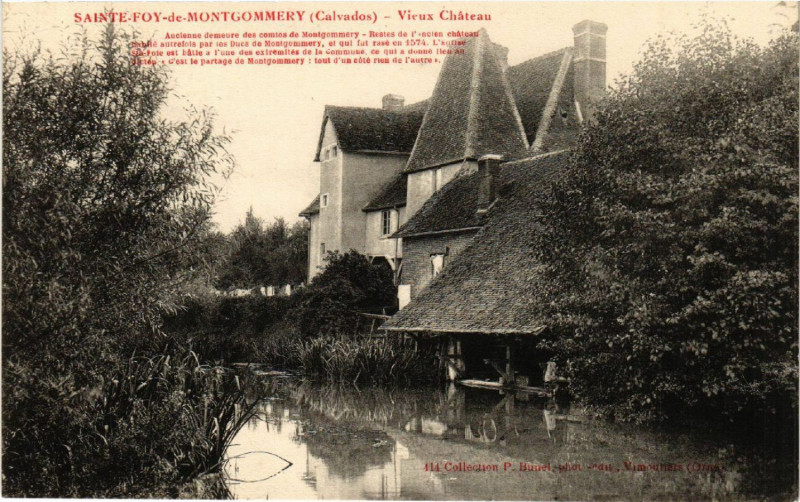 Carte postale ancienne Sainte-Foy de Montgomerry - Vieux Chateau à Vieux