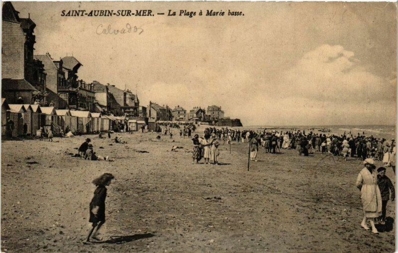 Carte postale ancienne Saint-Aubin-sur-Mer - La Plage a Maree basse à Saint-Aubin-sur-Mer
