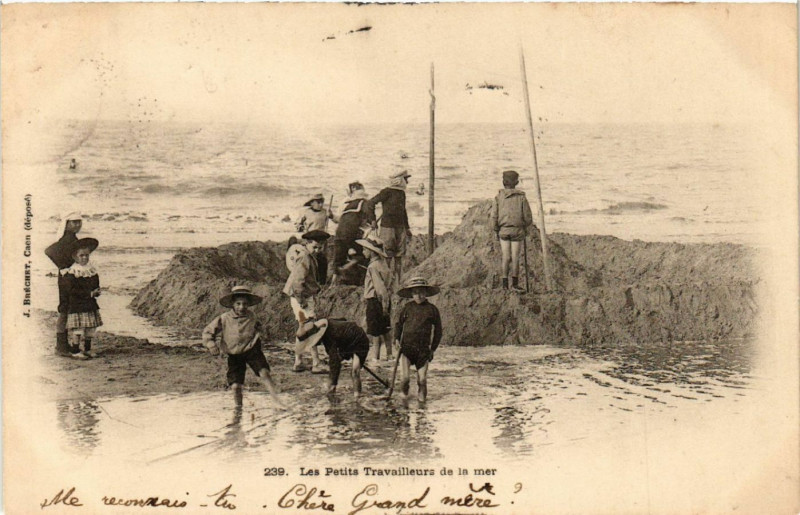 Carte postale ancienne Les Petits Travailleurs de la mer