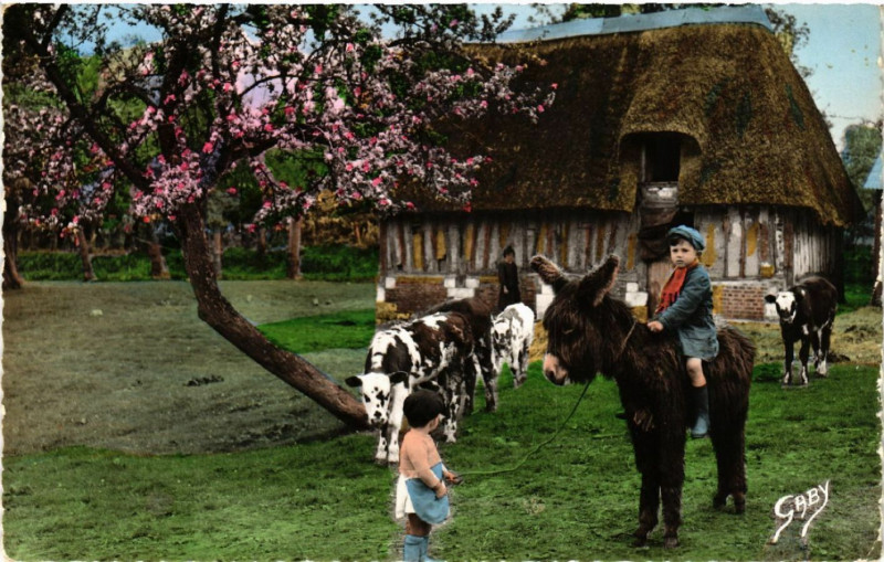 Carte postale ancienne La Normandie - Bons amis
