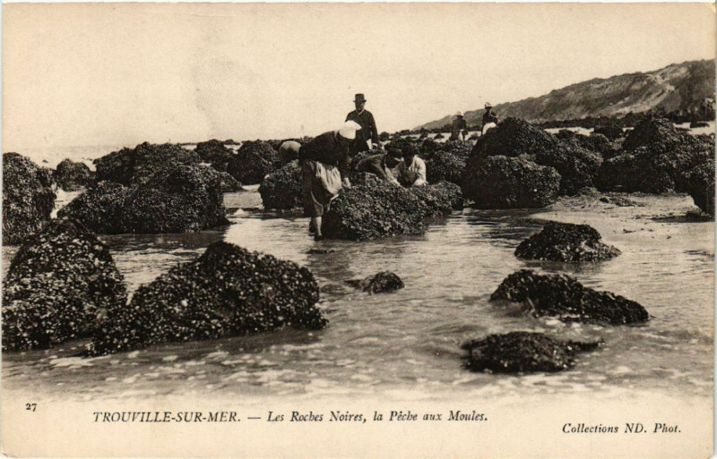 Carte postale ancienne Trouville-sur-Mer - Les Roches Noires à Trouville-sur-Mer