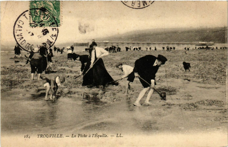 Carte postale ancienne Trouville - La Peche a l'Equille