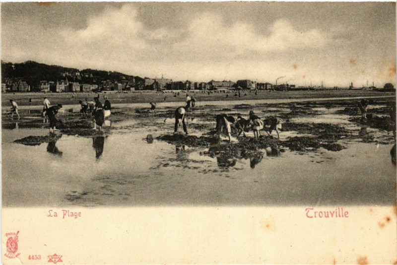 Carte postale ancienne Trouville - La Plage