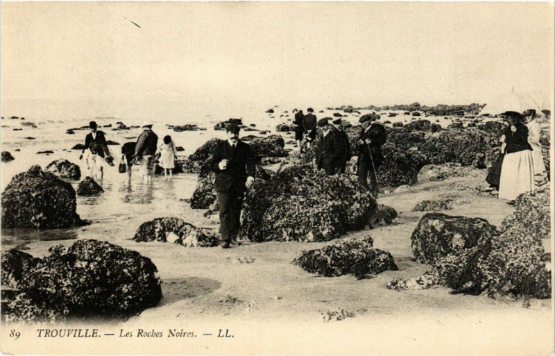Carte postale ancienne Trouville - Les Roches Noires