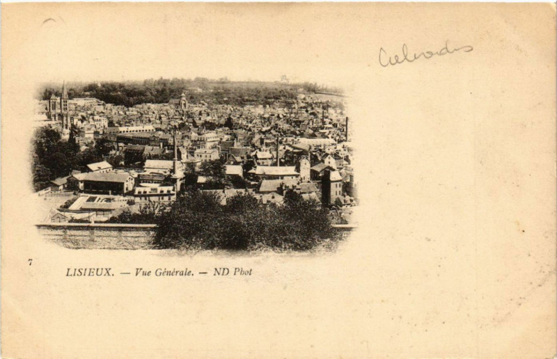 Carte postale ancienne Lisieux - Vue générale à Lisieux