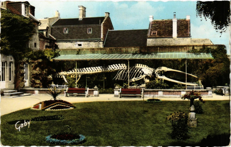 Carte postale ancienne Luc-sur-Mer Calvados-Jardin Municipal à Luc-sur-Mer